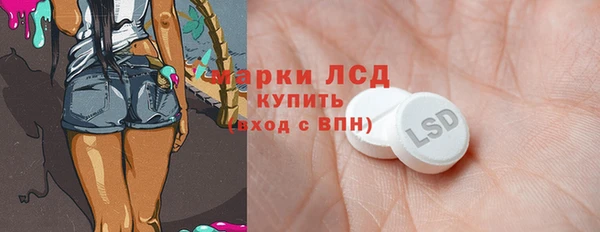 стаф Корсаков