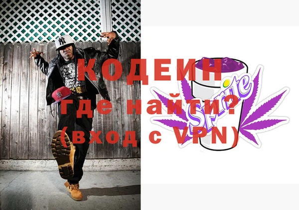 стаф Корсаков