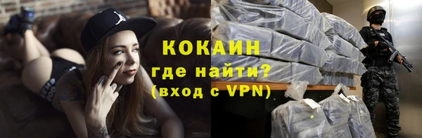 стаф Корсаков