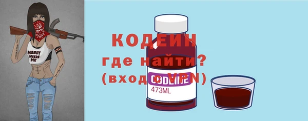 стаф Корсаков