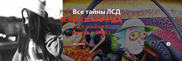 стаф Корсаков