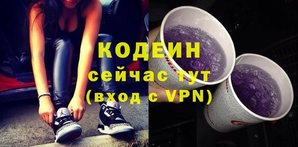 стаф Корсаков