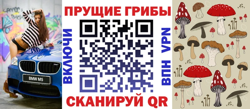 Купить закладки  Томари  Галлюциногенные грибы Psilocybine cubensis 