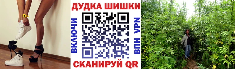 Каннабис Bruce Banner  Купить  Томари 